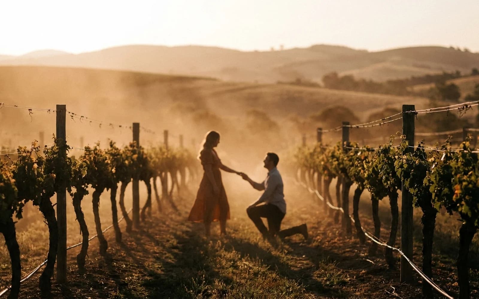 Vineyard proposal at golden hour in a South Australian winery